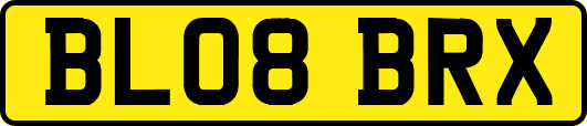 BL08BRX