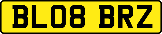 BL08BRZ