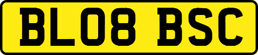 BL08BSC