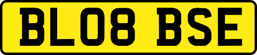 BL08BSE