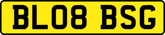 BL08BSG