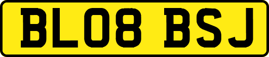 BL08BSJ