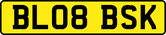 BL08BSK
