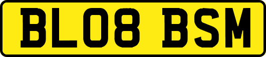 BL08BSM