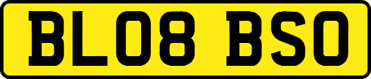 BL08BSO
