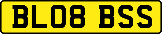 BL08BSS