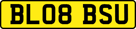BL08BSU