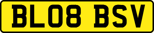 BL08BSV