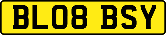 BL08BSY