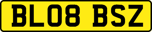 BL08BSZ