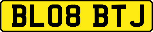 BL08BTJ