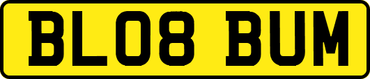 BL08BUM