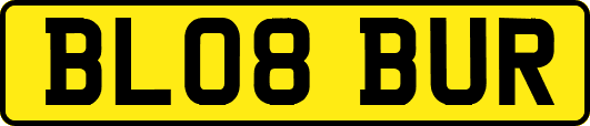BL08BUR