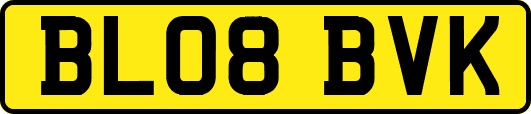 BL08BVK