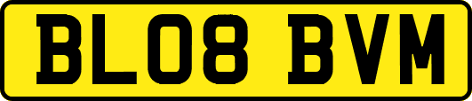 BL08BVM