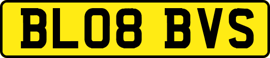 BL08BVS
