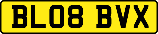 BL08BVX