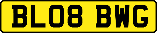 BL08BWG