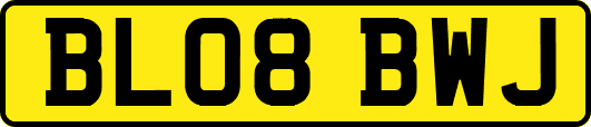 BL08BWJ