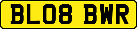 BL08BWR