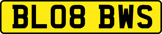 BL08BWS