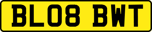 BL08BWT