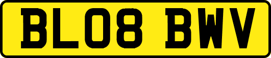 BL08BWV