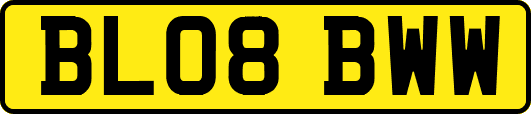 BL08BWW