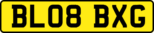 BL08BXG