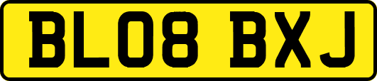 BL08BXJ