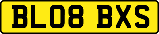 BL08BXS