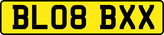 BL08BXX