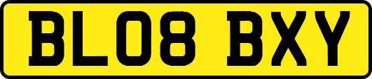 BL08BXY