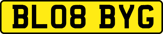 BL08BYG