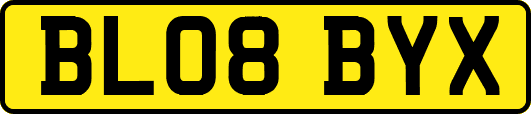 BL08BYX