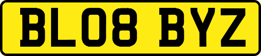 BL08BYZ