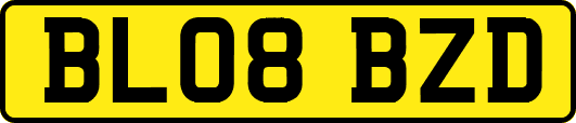 BL08BZD