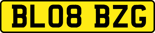 BL08BZG