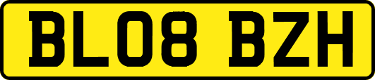 BL08BZH