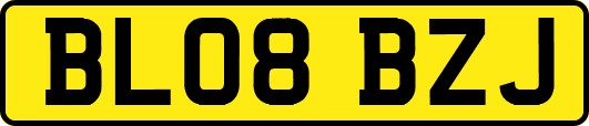 BL08BZJ
