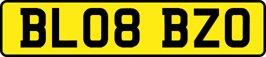 BL08BZO