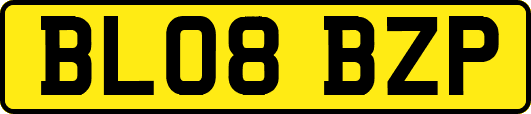 BL08BZP