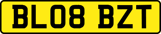BL08BZT