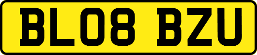 BL08BZU