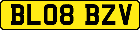 BL08BZV