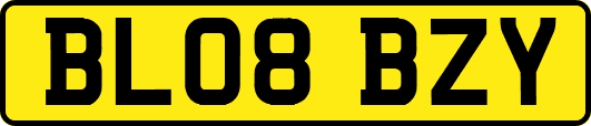BL08BZY