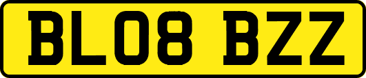 BL08BZZ