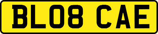 BL08CAE