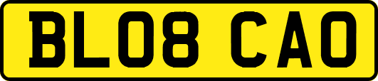 BL08CAO