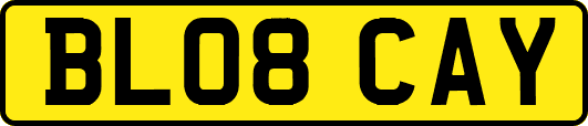 BL08CAY